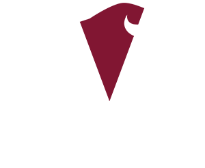 vuba logo